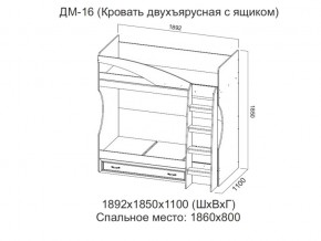 ДМ-16 Кровать двухъярусная с ящиком в Нытве - nytva.magazin-mebel74.ru | фото