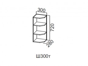 Ш300т/720 Шкаф навесной 300/720 (торцевой) в Нытве - nytva.magazin-mebel74.ru | фото