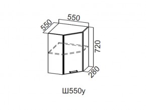 Ш550у/720 Шкаф навесной 550/720 (угловой) в Нытве - nytva.magazin-mebel74.ru | фото