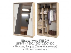 шкаф-купе ПШ-2.9 1500 Норд Белый жемчуг 1500 в Нытве - nytva.magazin-mebel74.ru | фото