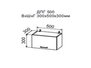 Шкаф верхний ДПГ500 горизонтальный в Нытве - nytva.magazin-mebel74.ru | фото