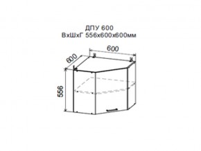 Шкаф верхний ДПУ600 угловой в Нытве - nytva.magazin-mebel74.ru | фото