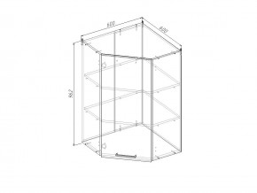 ВУ9 Модуль верхний Угловой в Нытве - nytva.magazin-mebel74.ru | фото